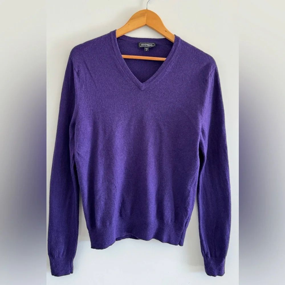 Express Men V Neck Merino Wool Sweater Size M Purple Academia Preppy Teacher